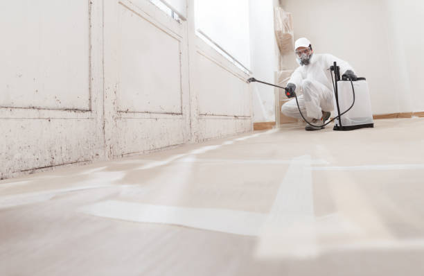 24/7 Emergency Mold Removal experts in Halifax, VA